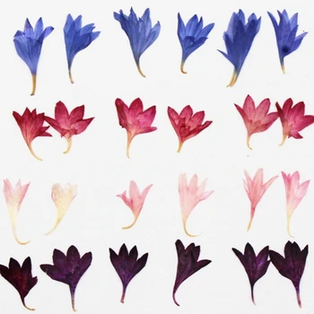 120 vnt Paspaudus Rugiagėlių Žiedų, džiovintų gėlių natūralių džiovintų gėlių herbariumas 